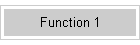 Function 1